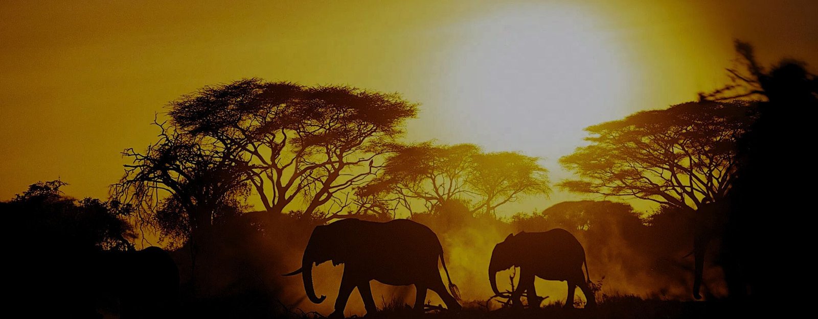 4 Days Northern Circuit Safari