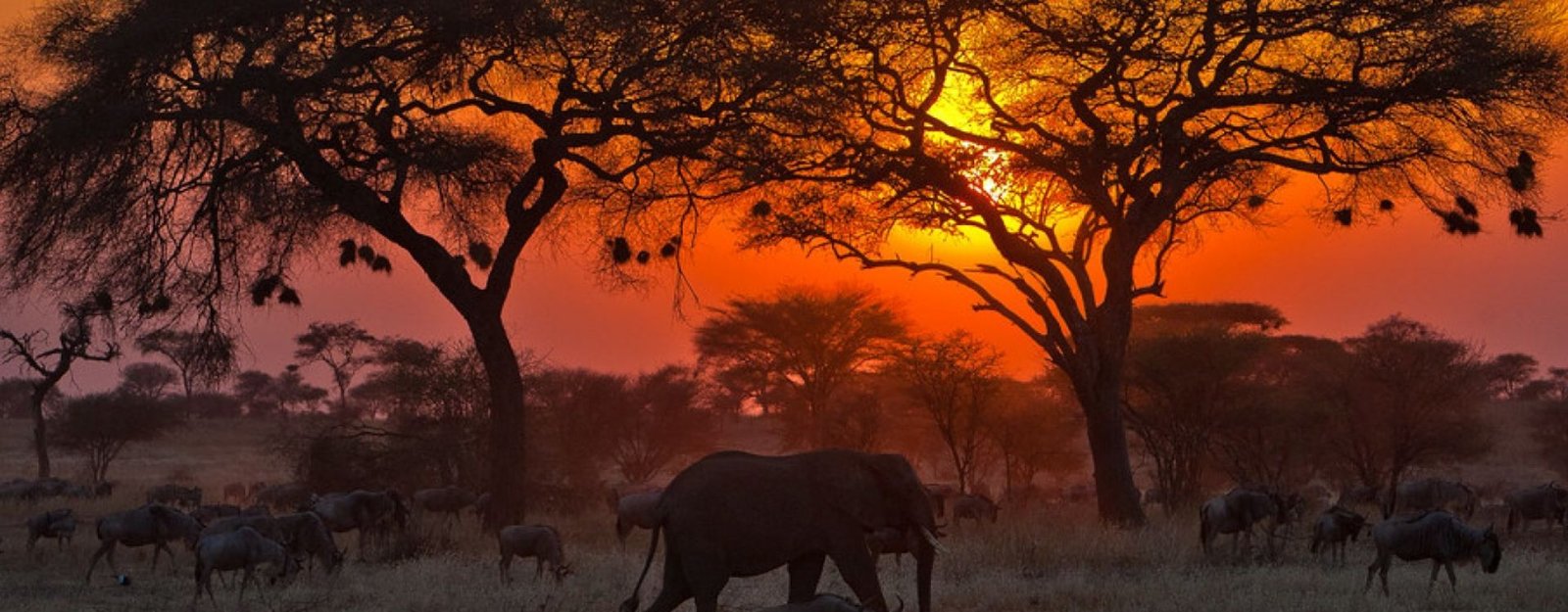 6 Days Northern Circuit Safari